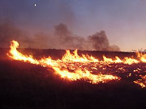 Archivo:2011-08-04 20 00 00 Susie Fire in the Adobe Range west of Elko Nevada