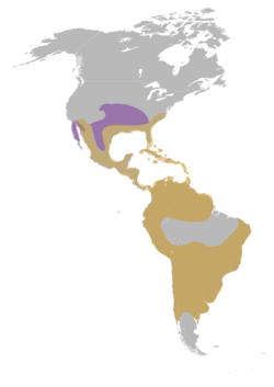 Mapa de distribución de Agraulis vanillae. Naranja: lugares donde la especie es nativa; violeta o púrpura: lugares donde se sospecha que se ha introducido recientemente.