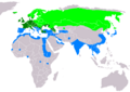Anas crecca distribution map