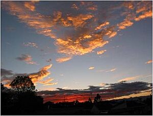 Archivo:Atardecer