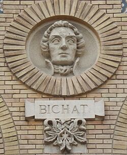 Archivo:Bichat Paraninfo Zaragoza