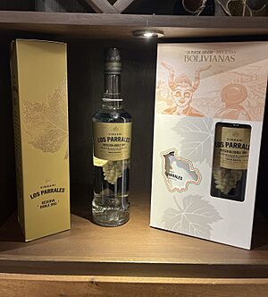 Archivo:Botellas de Singani - Bodega Los Parrales
