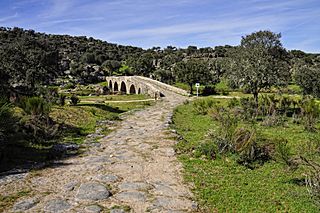 Camino Puente Mocho (15531673474).jpg