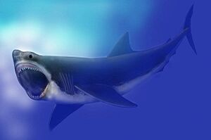 Archivo:Carcharodon megalodon SI