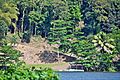 Carraízo, Trujillo Alto, Puerto Rico - panoramio (2)