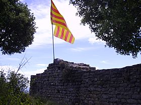 Castell de Voltregà.JPG