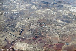 El Cuervo de Sevilla 2.jpg