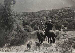 Archivo:El Ingenio San José de Maipo