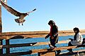 Entre la libertad y el mar