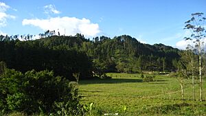 Archivo:Finca Lechera en Volcán