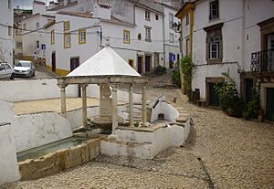 Archivo:Fonte da vila