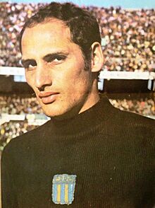 Gato-andrada.jpg