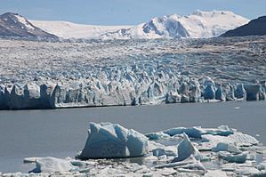 Archivo:Glaciar Grey, Torres del Paine