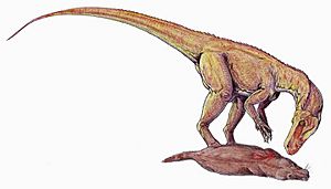 Archivo:Herrerasaurus DB
