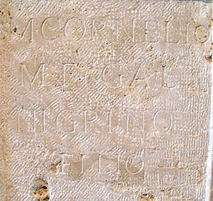 Archivo:Inscripción dedicada a Marco Cornelio Nigrino Curiacio Materno - CIL II2-14-128 copia