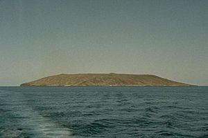 Archivo:Isla Tortuga