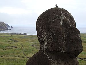 Archivo:Kneeling Moai Detail Face