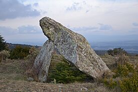La pierre plantée.JPG