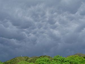 Archivo:Mammatus Clouds Over Mountains