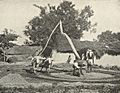 Old-fashioned Indian Sugar=cane Press