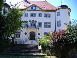 Ostseite Schloss Reimlingen.JPG