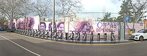 Panorámica mural Polideportivo Municipal la Concepción.jpg