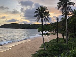 Archivo:Plage de Roume