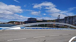 Puente San Ignacio-Zorrotzaurre 5.jpg