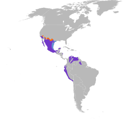 Distribución geográfica del mosquero cardenal