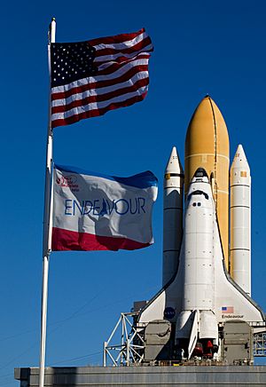 Archivo:STS-130 Endeavour Rollout 6