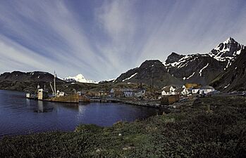 South-georgia-grytviken1989-10 hg
