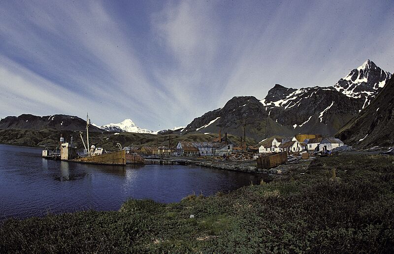South-georgia-grytviken1989-10 hg