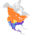 Spizella passerina map
