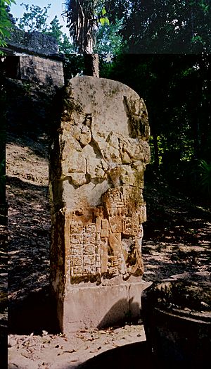 Archivo:Stela 21 in front of Temple VI at Tikal Guatemala