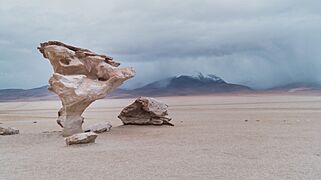 The Stone Tree