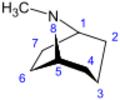 Tropane numbered