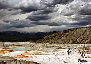 Archivo:Upper Terraces of Mammoth Hot Springs