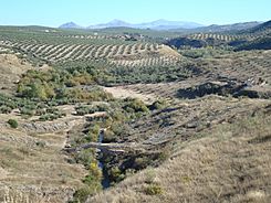 Vía Verde del Aceite (4069423638).jpg