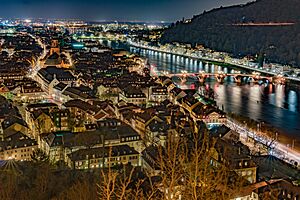 Archivo:View from the castle park to the old town with the Heiliggeistkirche and the old bridge over the Neckar to the Philosophenweg, recognizable by the traces of a vehicle