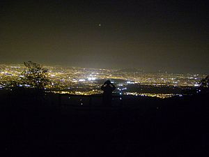 Archivo:Vista nocturna Bosque El Panul