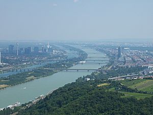 Archivo:Wiener Donaubrücken