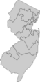 113th U.S. House districts in New Jersey