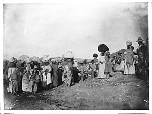 A group of more than 30 Yaqui Indian prisoners being escorted away by Mexican soldiers, Mexico, ca.1910 (CHS-1520).jpg