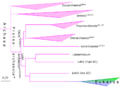 A schematic evolutionary tree of the archaea 2015 final