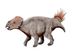 Archivo:Ajkaceratops NT