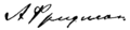 Aleksandr Fridman signature
