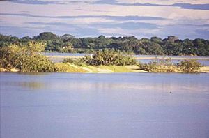Archivo:Araguaia River