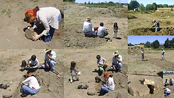 Archivo:Arqueologa del CMN explora mide y georeferencia un muro de adobes enterrado en la ladera sur del cerro Mariman de Negrete