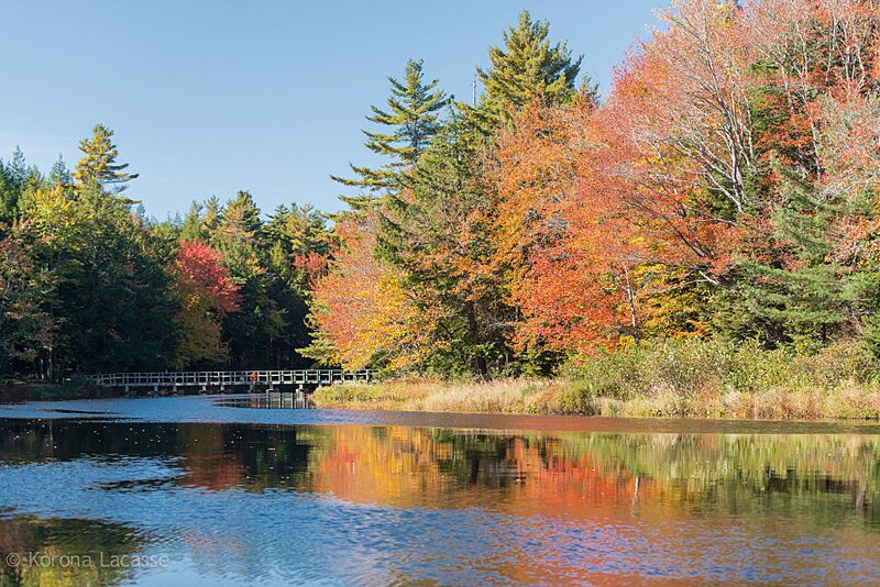 Autumnal Magic (10148865034)