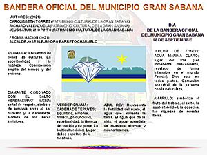 Archivo:BANDERA OFICIAL DEL MUNICIPIO GRAN SABANA